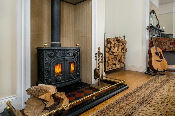 Quelles plantes d'intérieur pour les pièces sombres ?