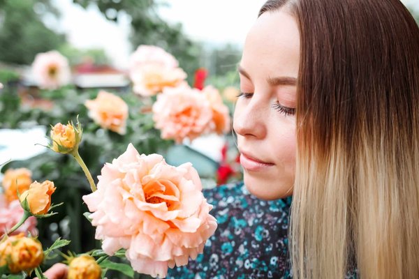 Le gazon idéal pour les zones ombragées : nos conseils