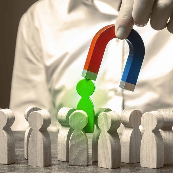 Comment choisir les bonnes plantes d'extérieur pour son jardin